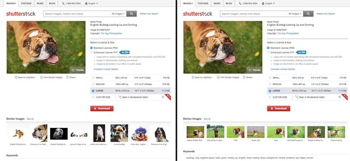 The image on the left shows varied results when searching by keywords. The image on the right shows visually similar results when using visual search.