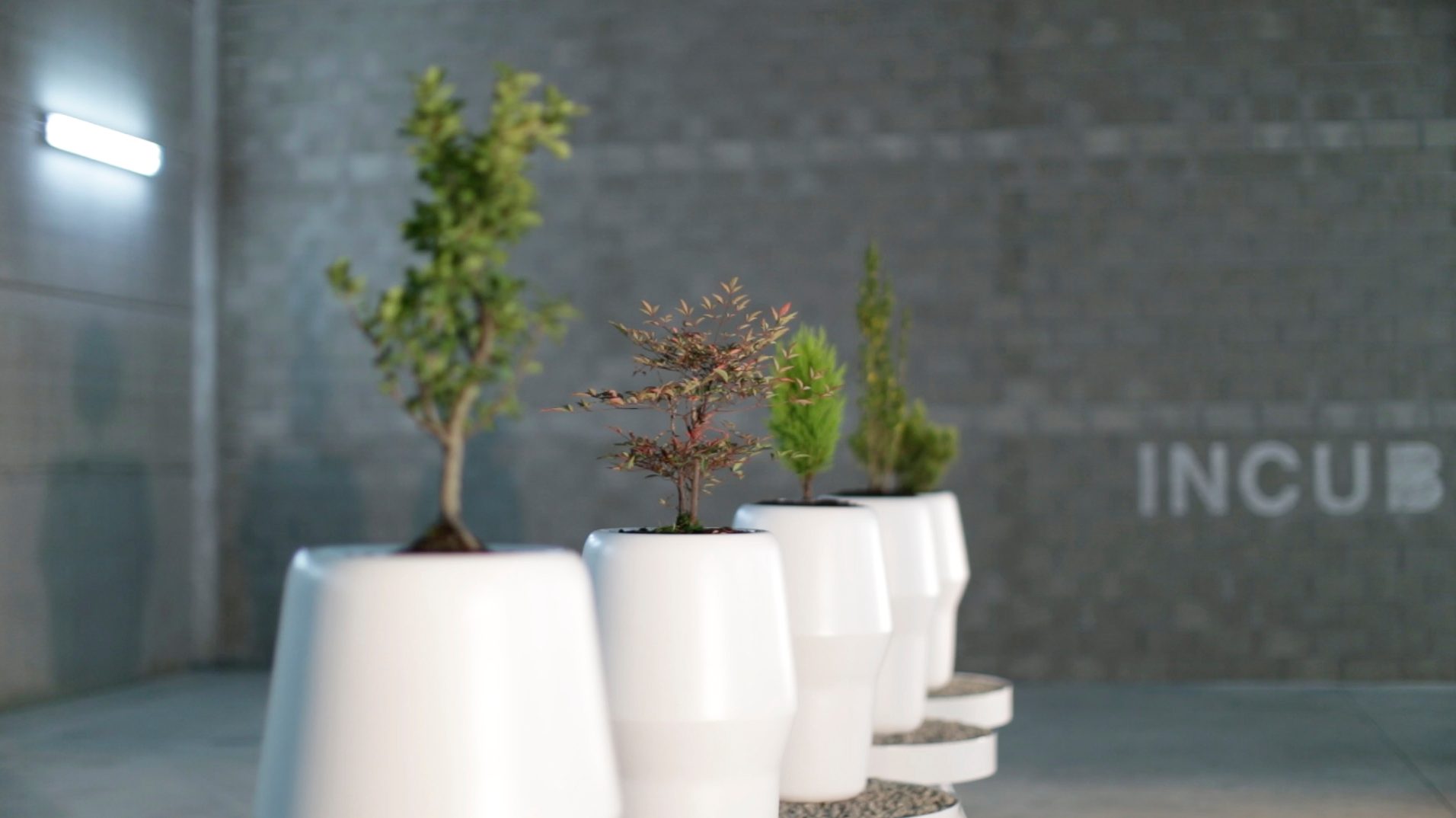 bios incube afterlife grows ashes trees testing