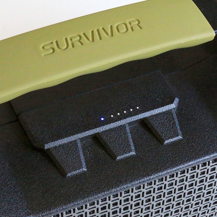 DreamWave Survivor