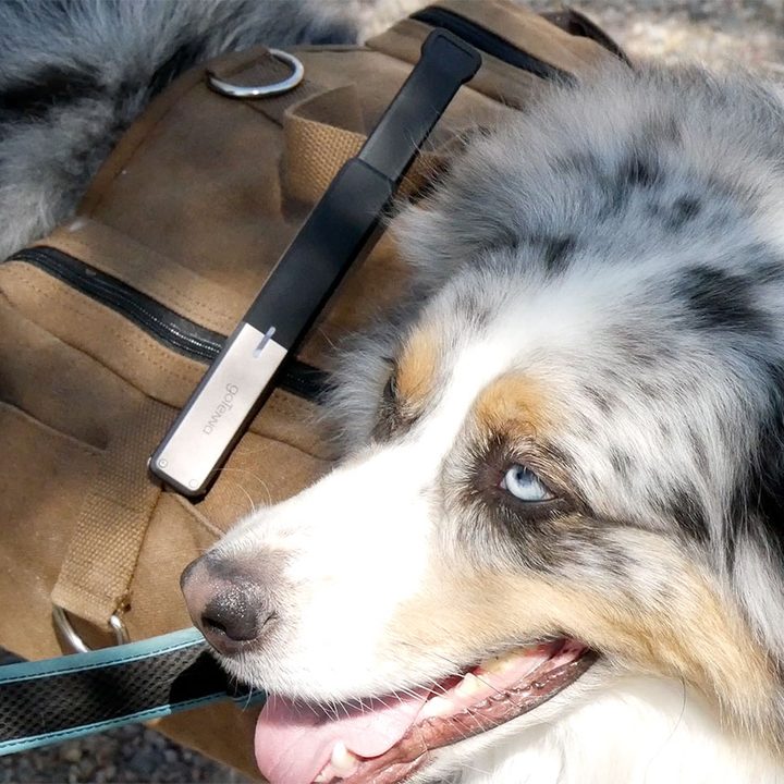gotenna video review 0005