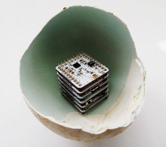 3D-printed, sensor-packed faux eggs are helping save the vulture population