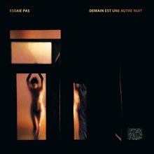 The Audiophile Essaie Pas Album Art