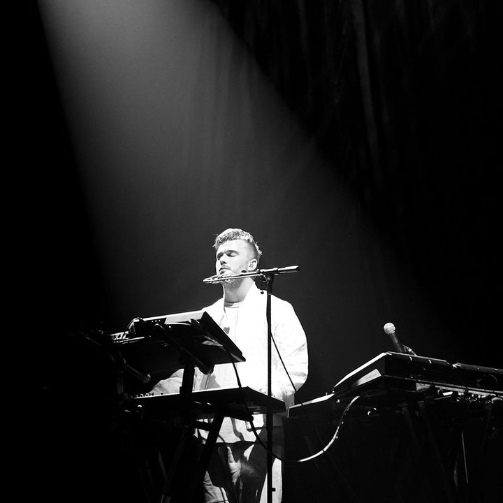 The Broods