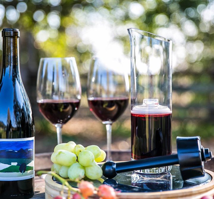WineSquirrel2