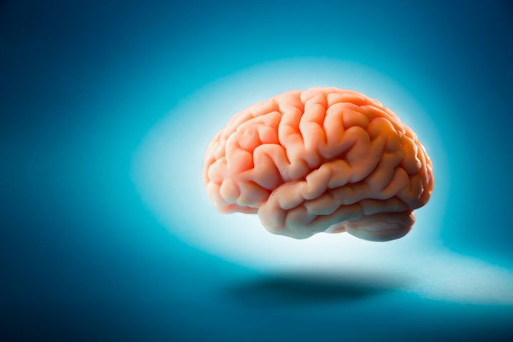 brain1