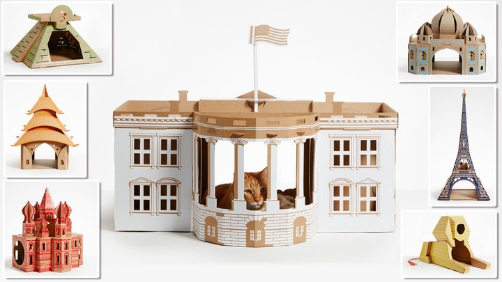 poopy cat play houses