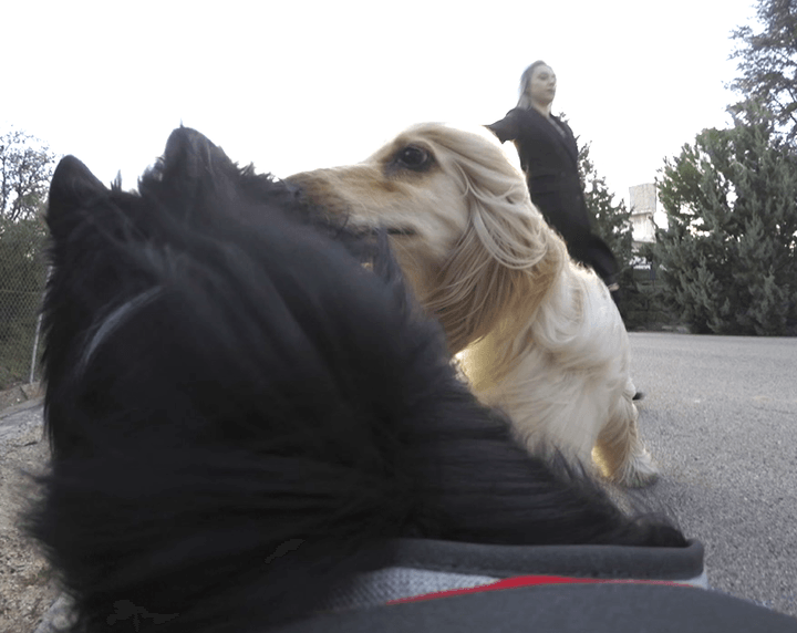 posting tail POV