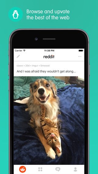 reddit