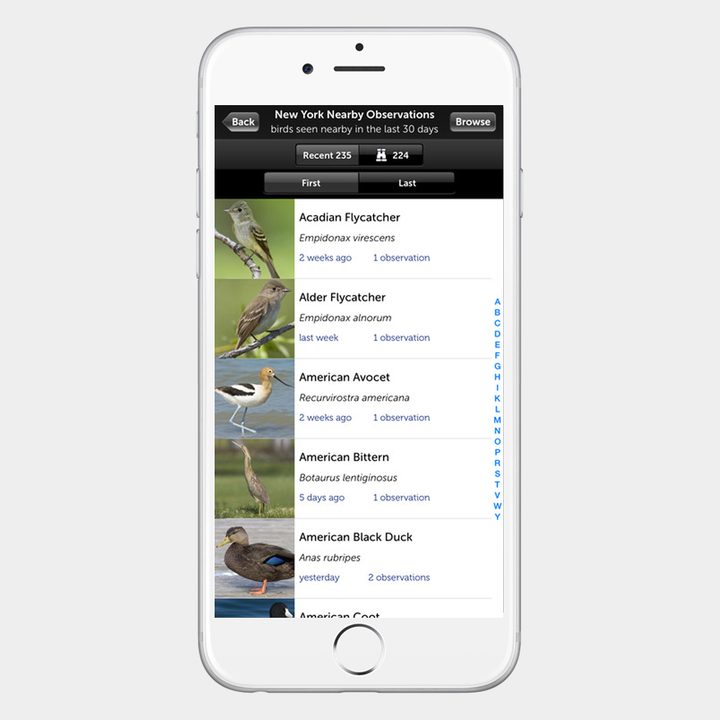 Audubon Birds Pro Apple