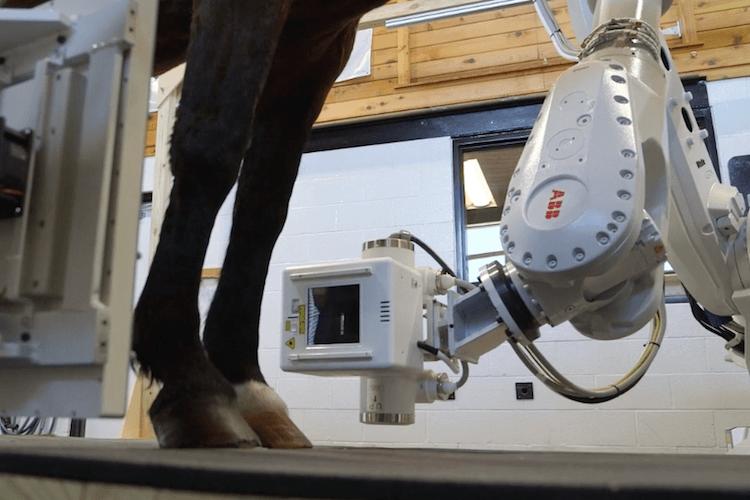 Equine medical scanner could help diagnose fractures earlier