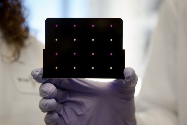 Image: Wyss Institute at Harvard University