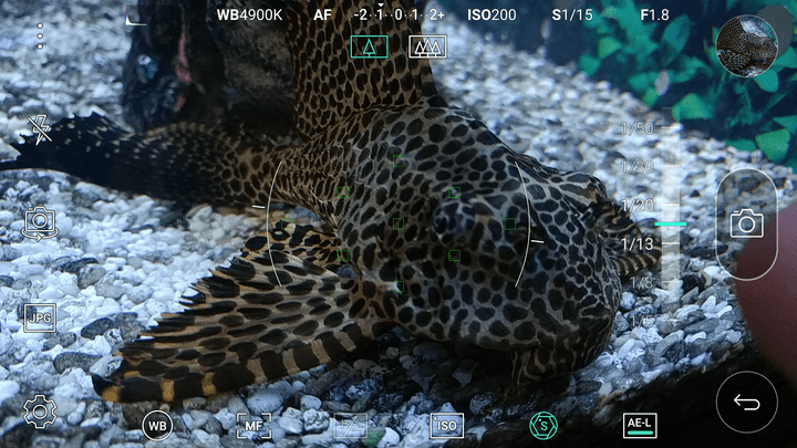 Manual mode screenshot