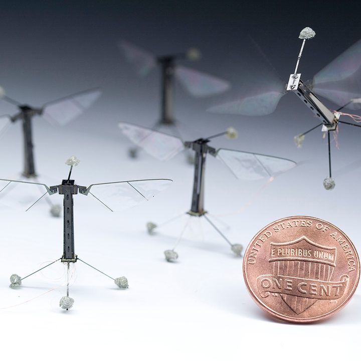 RoboticInsectPhoto02