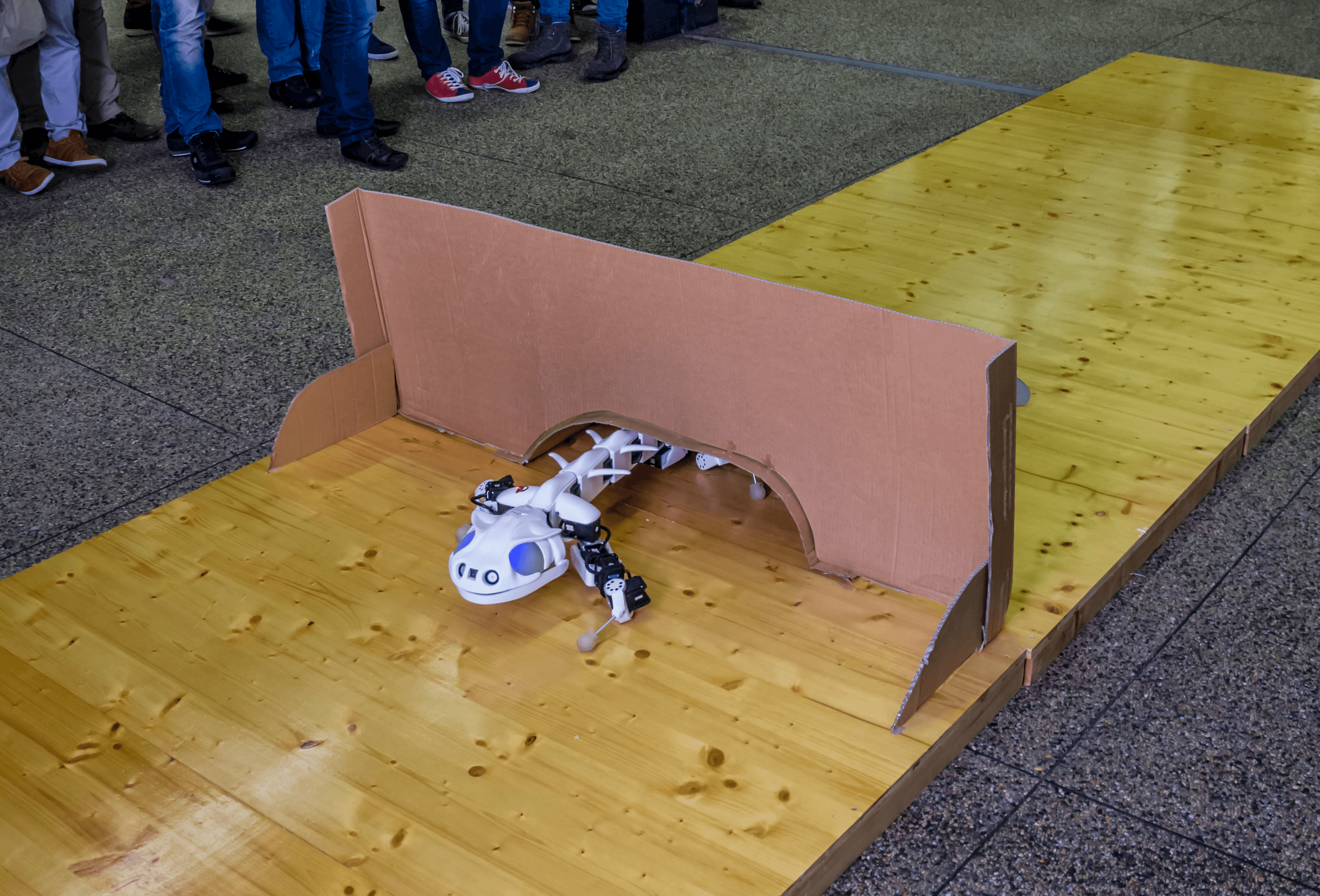 robot salamander switzerland filming 141