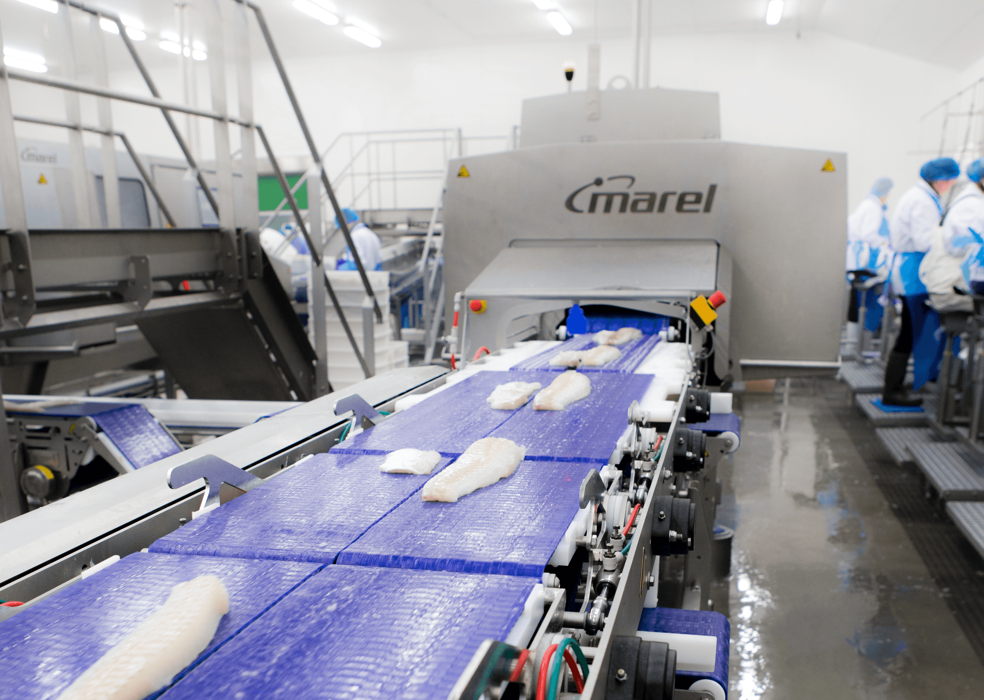 industrial fish filleting machine forsida