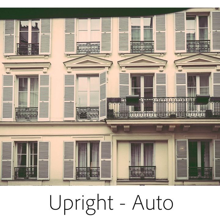 Guided upright (2)