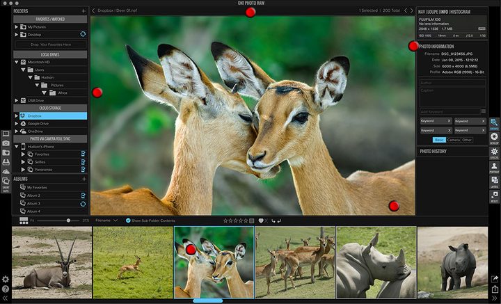 ON1-Photo-RAW-browse