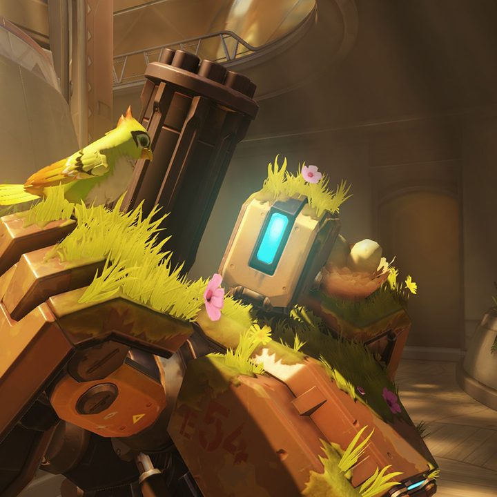 Bastion Overwatch Birds