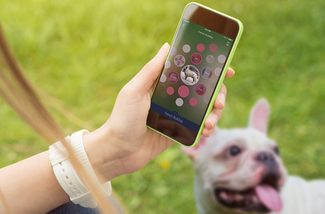 blippar-bulldog