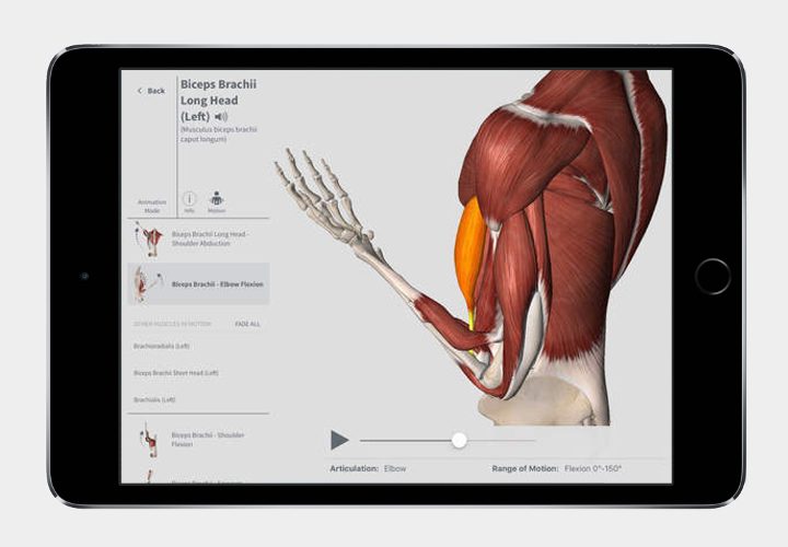 complete-anatomy2