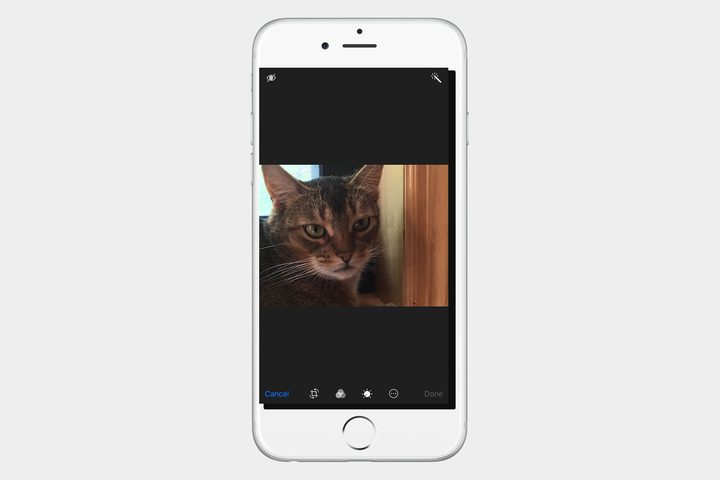 iOS 10 RAW image