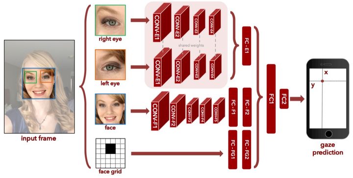 Diagram showing how the data is used to predict eye movement in subjects