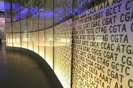 DNA Wall