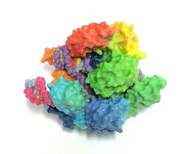 Cas9