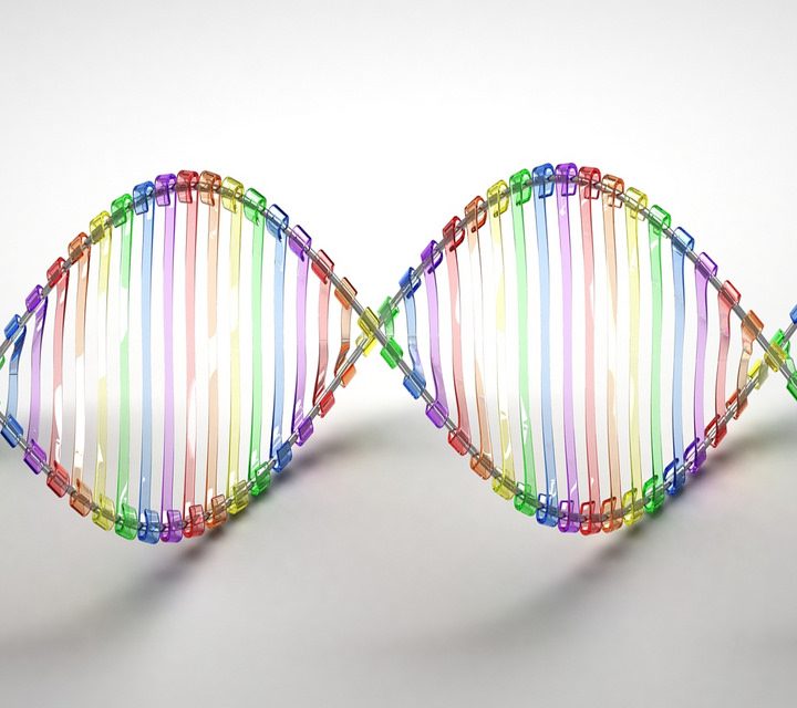 DNA