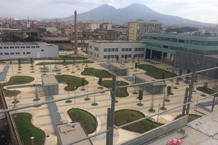 The University of Napolli Federico II