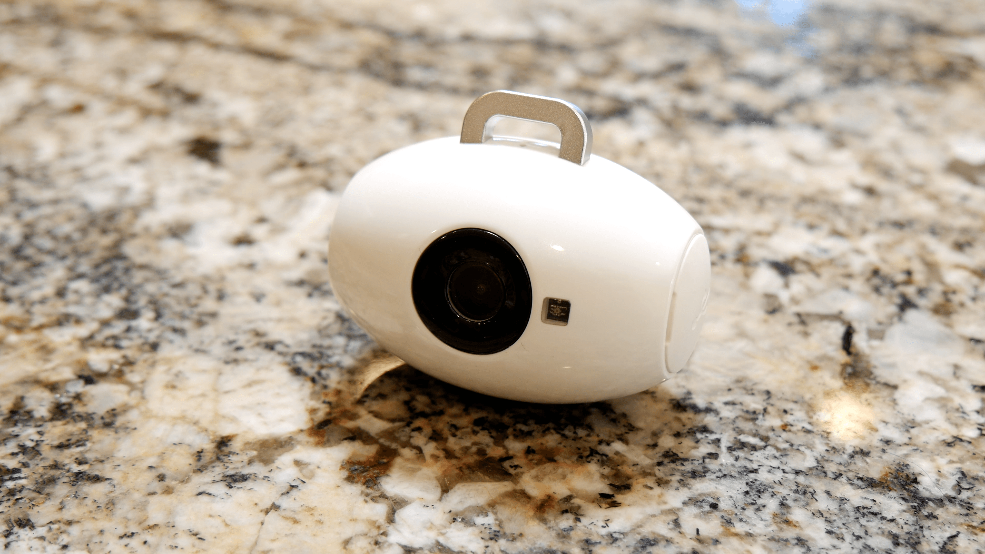 pawscam review video paws1