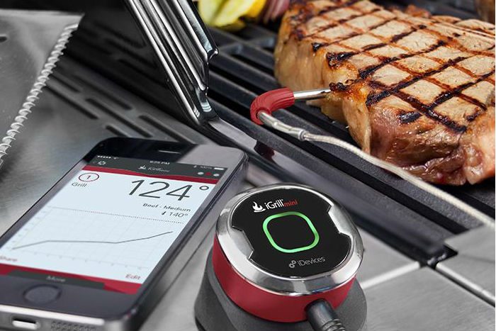 igrill mini