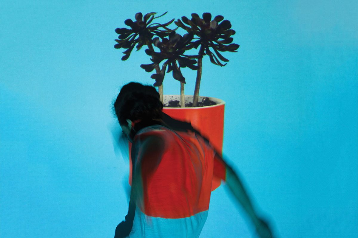 _images-uploads-album-Local_Natives_Sunlit_youth