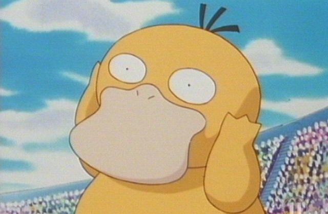 psyduck