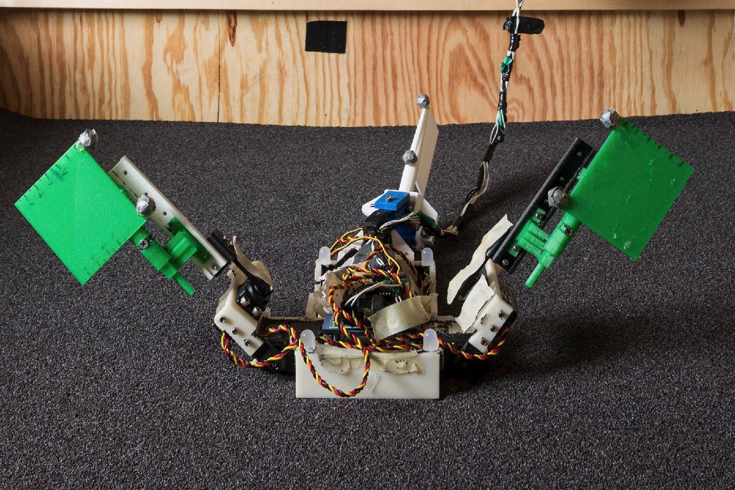 crawling robot robot5