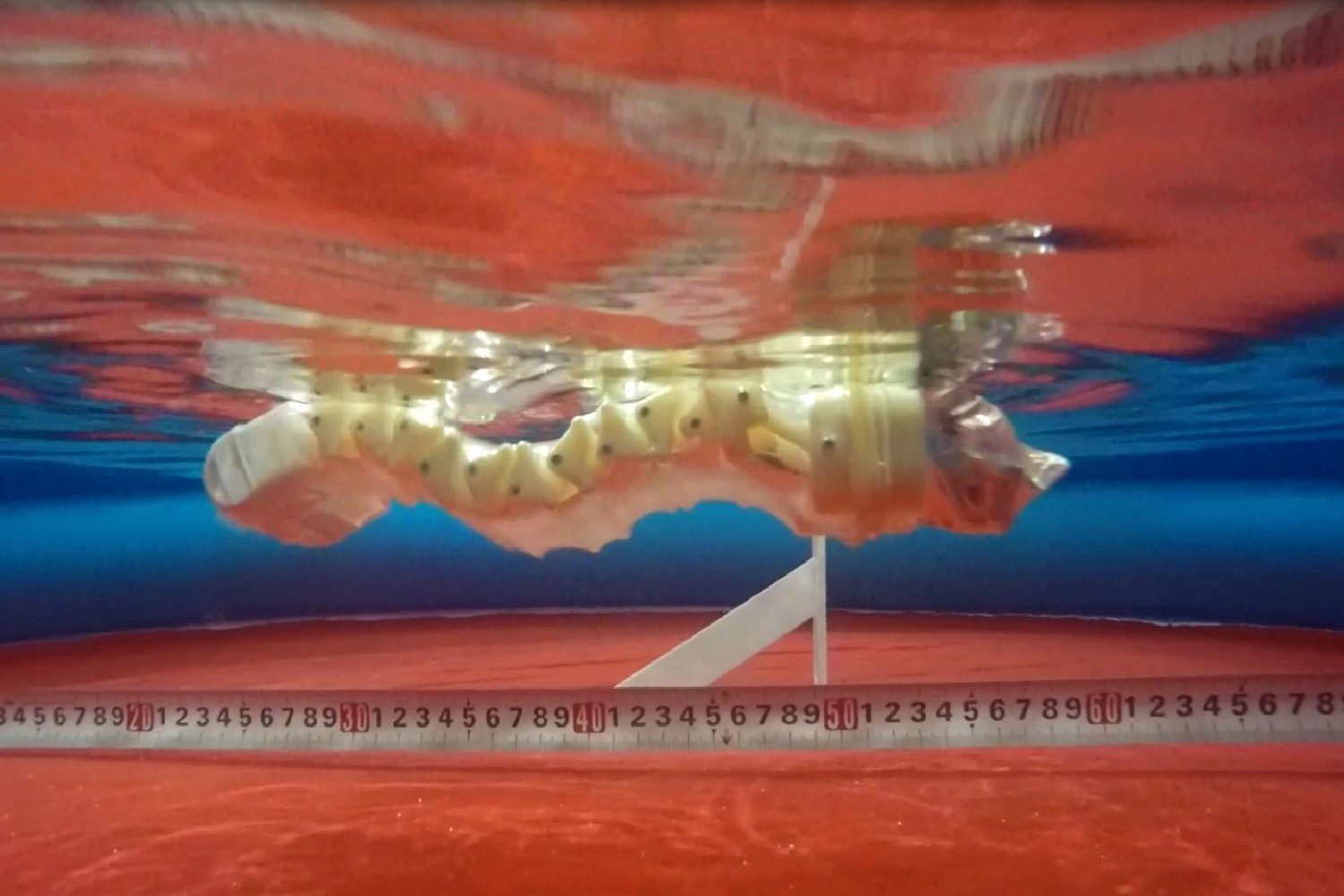 worm robot locomotion under water