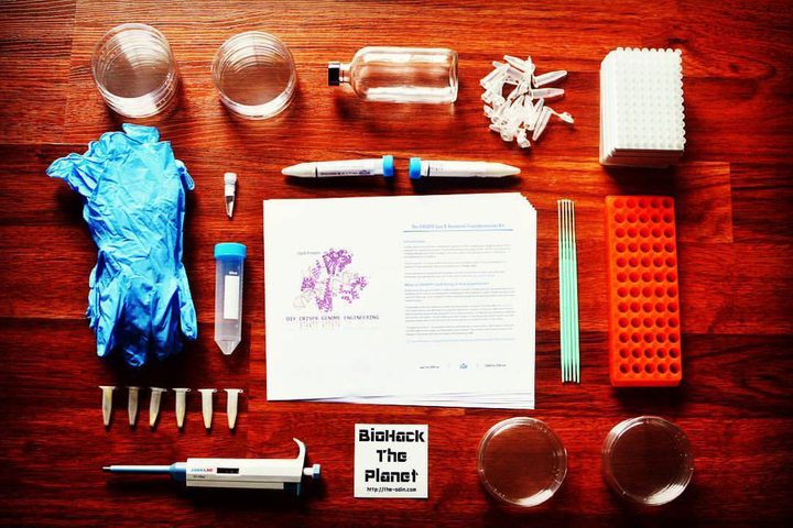 The ODIN DIY CRISPR kit