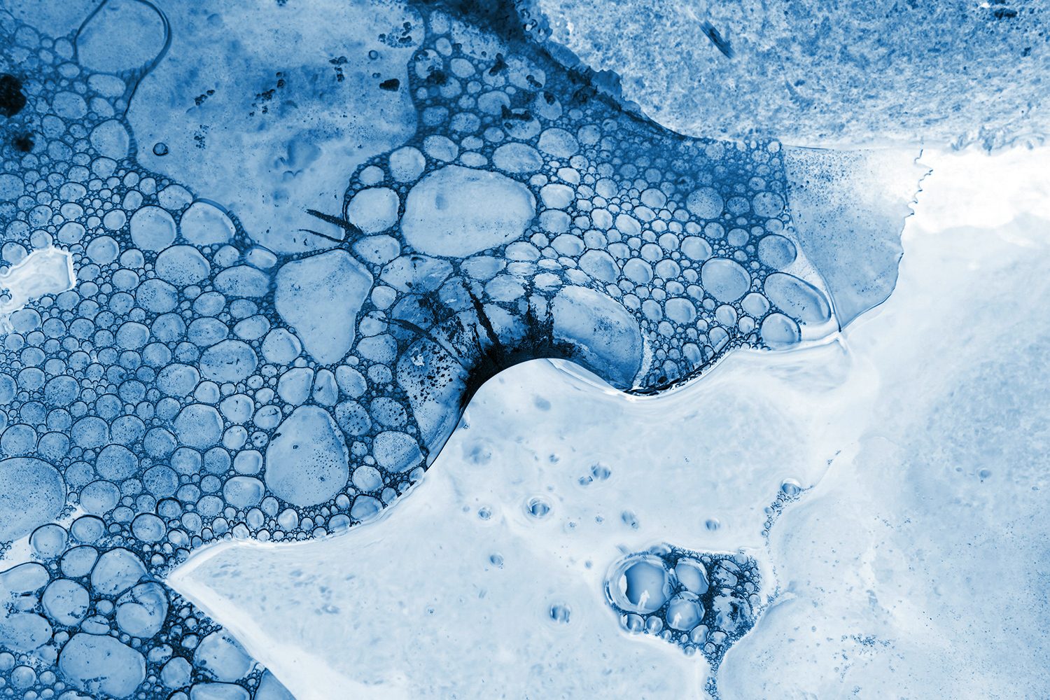 Air bubbles under the ice in winter