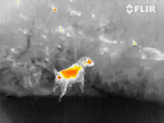 flir scout tk hands on pic 0022