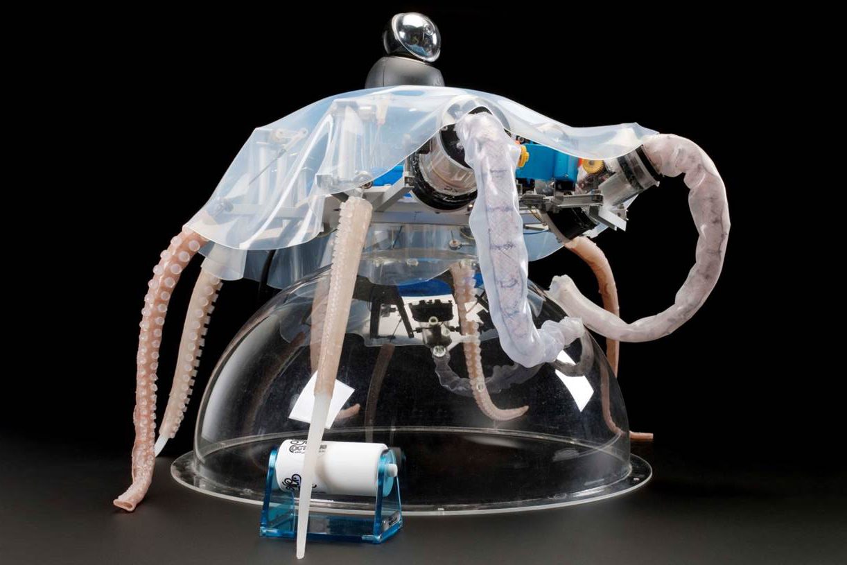 soft robot octopus cecilia laschi 4