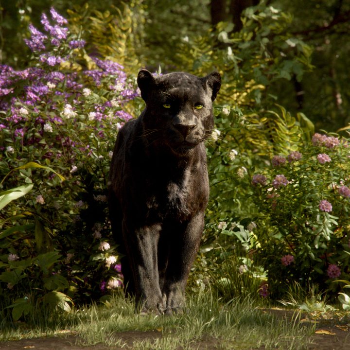 disney producer talks jungle book 2 the rocketeers and del toros haunted mansion interview 004