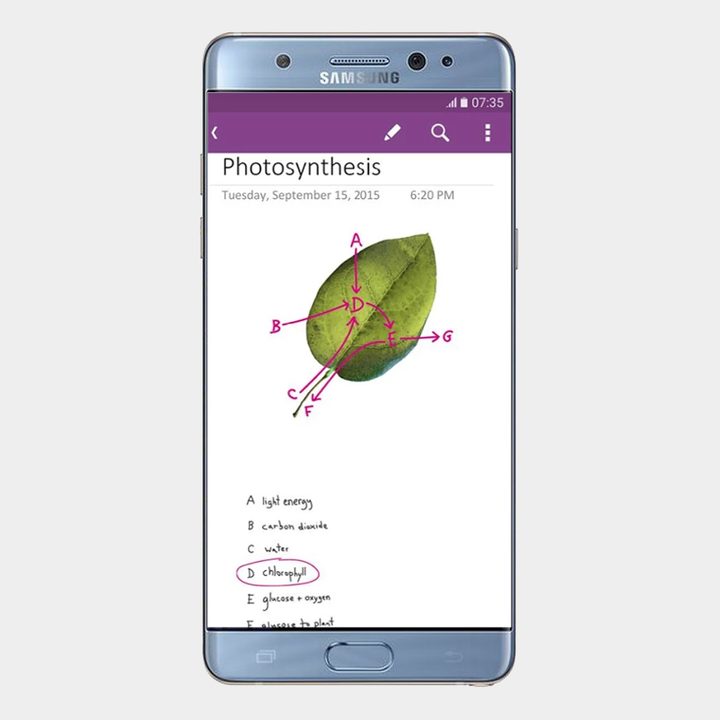 onenote