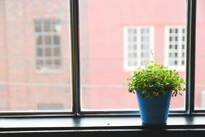 windowsill