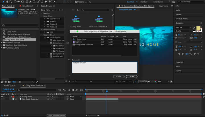 AE - Team Projects