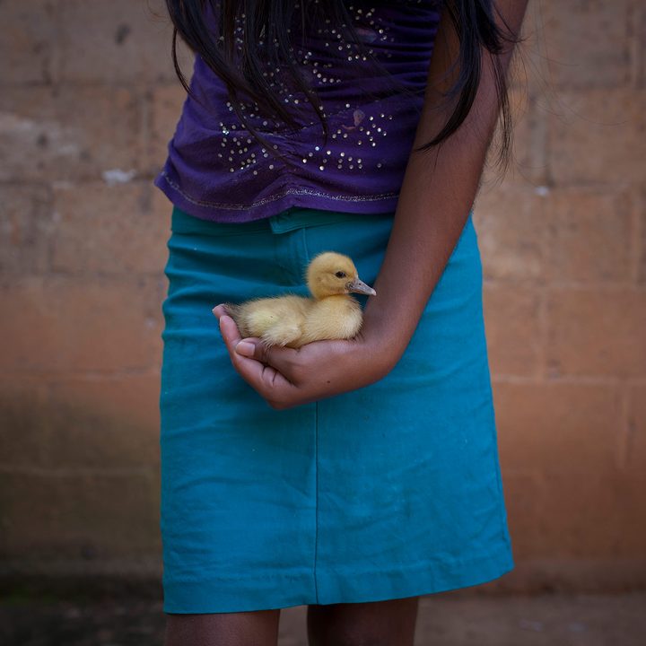 getty instagram grant 2016 christianrodriguezportfolioitem 18632