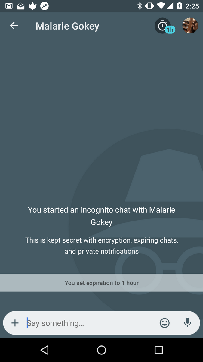 Google Allo Screenshot