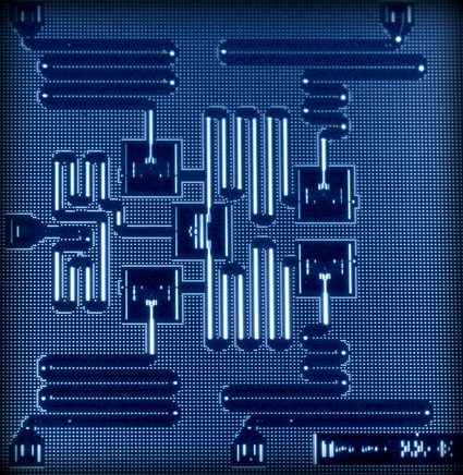 IBM Five Qubit Processor