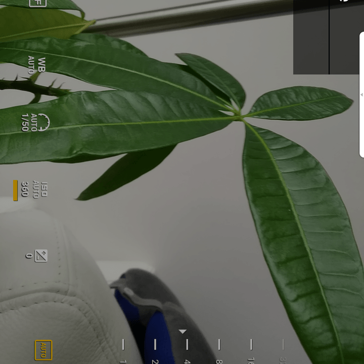 blackberry dtek50 tips and tricks manual camera interface