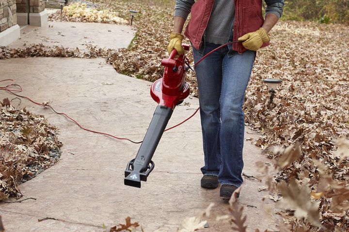 Toro 51621 leaf blower