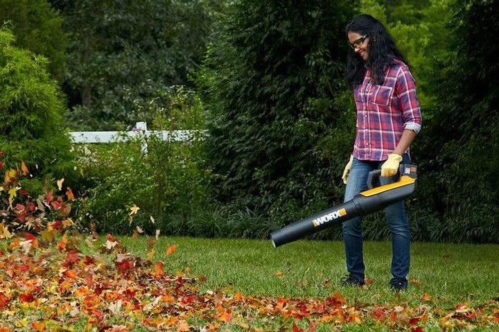 WORX WG591 leaf blower